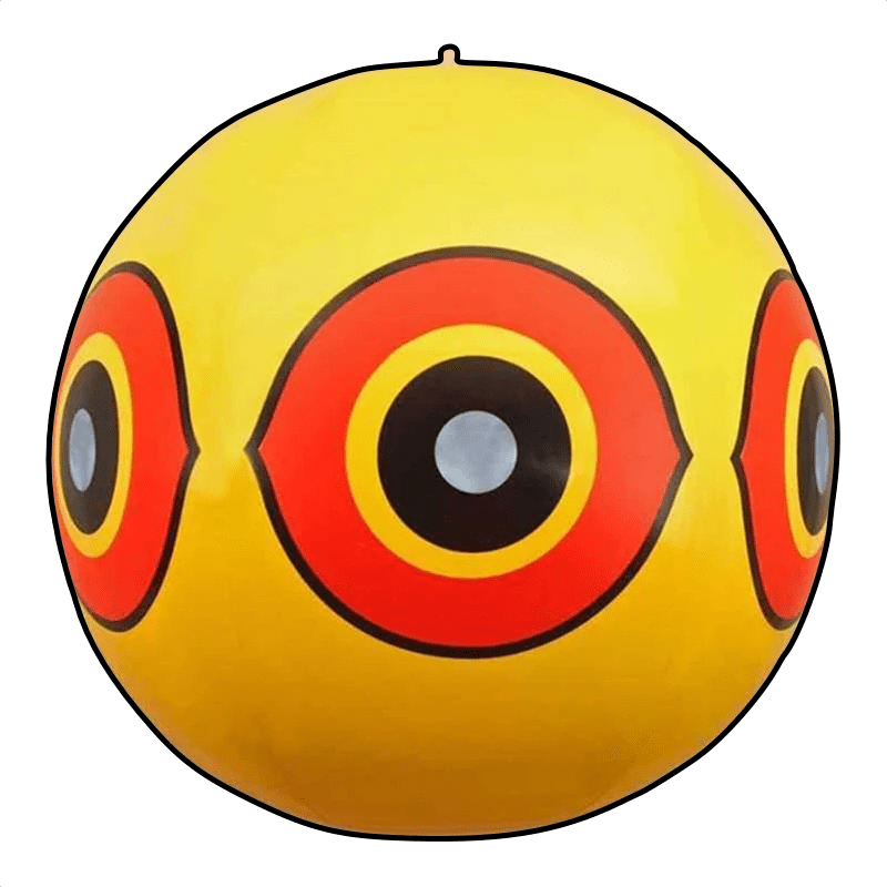 Les p'tits oiseaux festival photo Lisieux