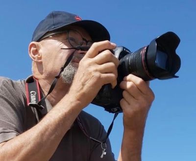 Festival photo Lisieux - Les p'tits oiseaux avec Dominique Bensi