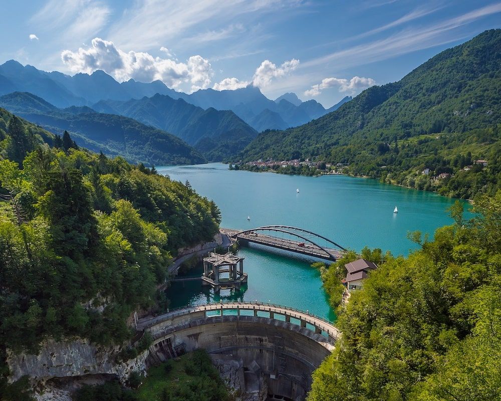 Festival photo Lisieux : Les p'tits oiseaux - Stefano Stella